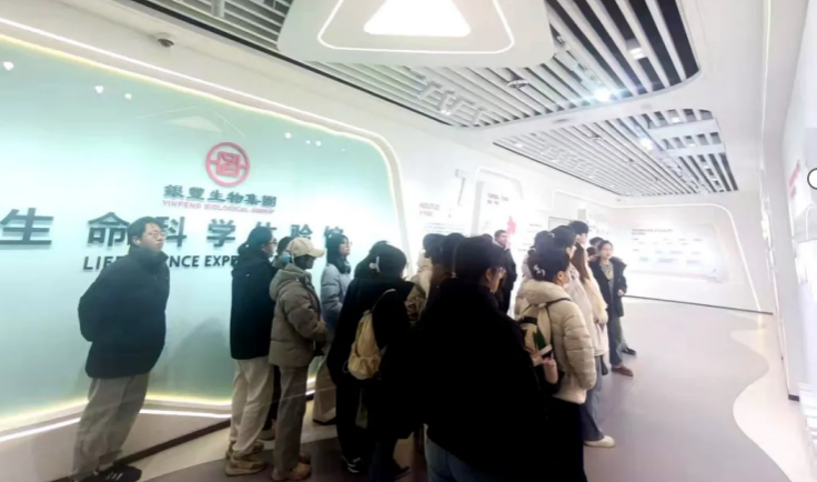 1765853812483178.png image.png