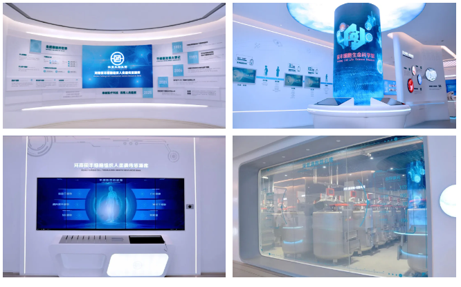 1775199300265582.png 5.png