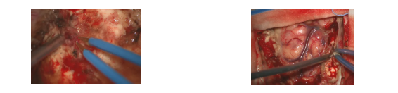 1776158755715132.png 5.png